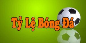 ty le ca cuoc bong da